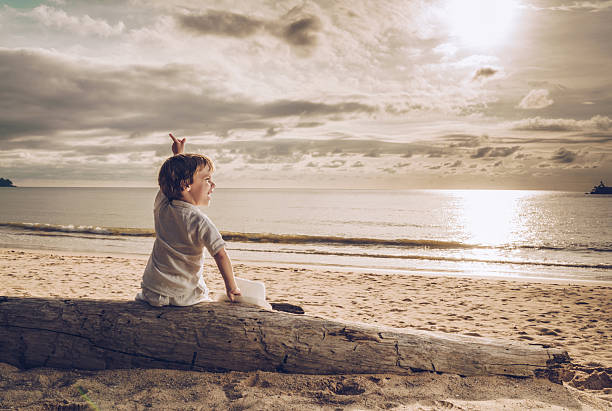 istock Back view of cute boy showing something on the beach. 928819502