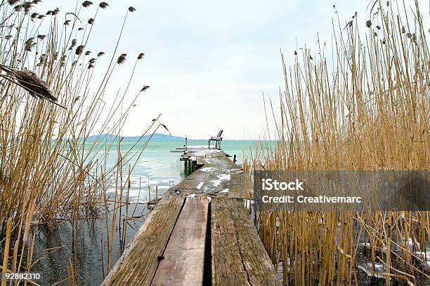 Photo libre de droit de Les Roseaux banque d'images et plus d'images libres de droit de Allée couverte de planches - Allée couverte de planches, Banquise, Banquise flottante