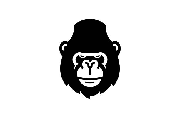 gorilla-kopf-symbol - silberrucken gorilla stock-grafiken, -clipart, -cartoons und -symbole