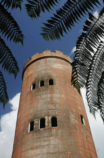 istock Yokahu Observation tower, el junque rainforest Puerto Rico 92882793