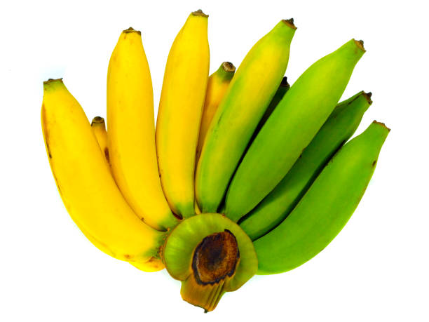 istock Gradient ripe whole bunch banana green to yellow  isolated 928835886