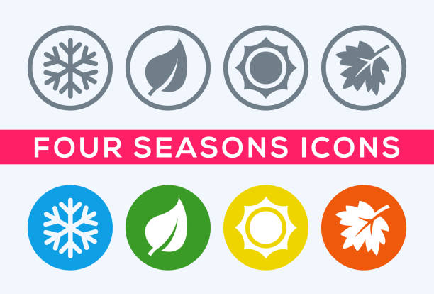 A set of four seasons icons. A set of four seasons icons. The seasons - winter, spring, summer and autumn. snowflake shape icons stock illustrations