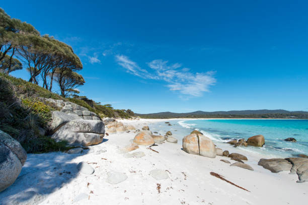 istock Bay of Fires, Tasmania, Australia 928850976