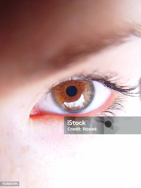 Eye Of Woman Stock Photo - Download Image Now - Adult, Animal Body, Blinking