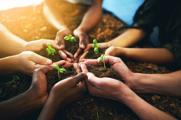 istock Sustainable growth is of utmost importance 928855690