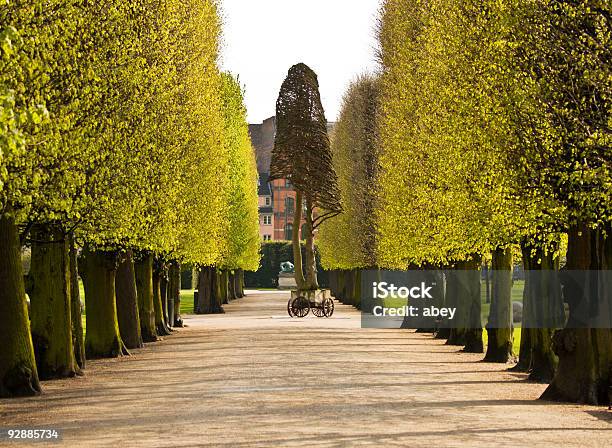 Park Alley - zdjęcia stockowe i więcej obrazów Ciągłość - Ciągłość, Krajobraz, Porządek