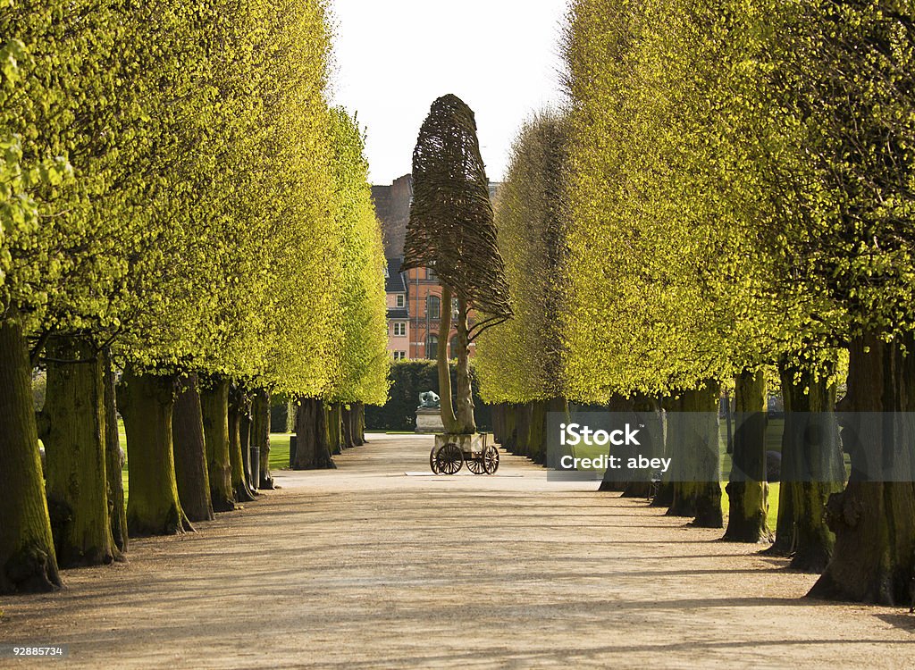 Parque alley - Foto de stock de Arrumado royalty-free