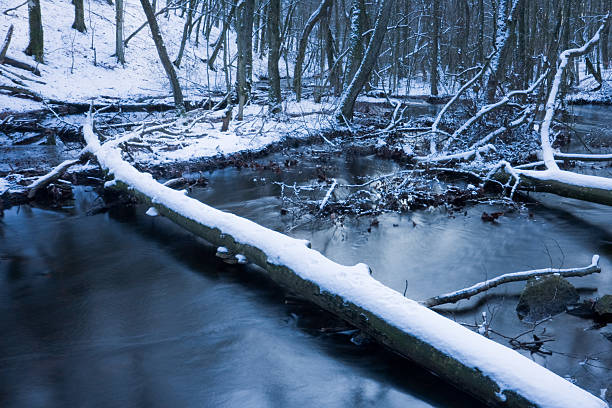 Winter stream stock photo
