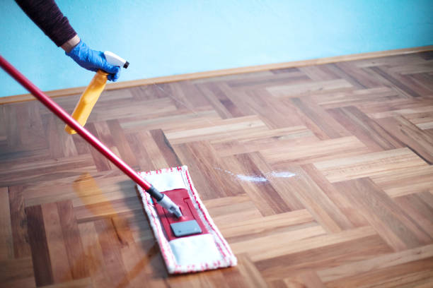 istock Female cleaning parquet floor 928861996