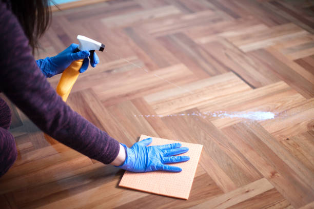 Woman cleaning parquet floor stock photo