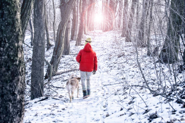 istock boy playing with dog on snow in winter 928862410