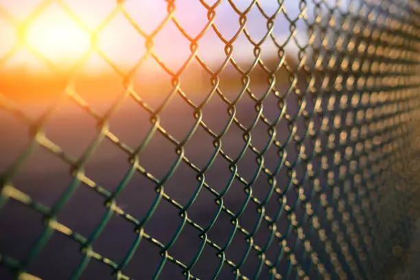 Photo of fence with metal grid in perspective
