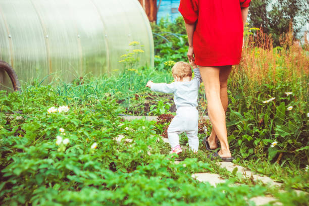 istock The child learns to walk on the grass 928868300