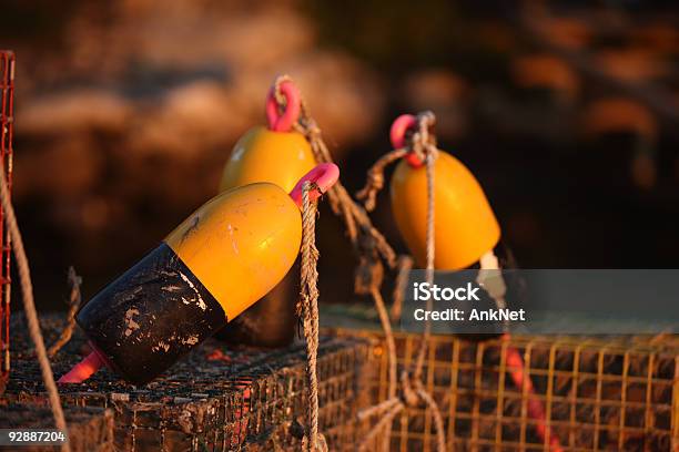 Armadilha Para Apanhar Lagostas Boia Grande Plano À Luz Pôr Do Sol - Fotografias de stock e mais imagens de Amarelo