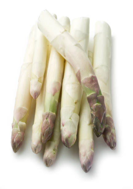 Shoots of white asparagus on the white background.