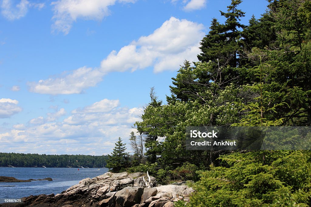 New England coastal nature scenery, Maine, USA.  Aspen Tree Stock Photo