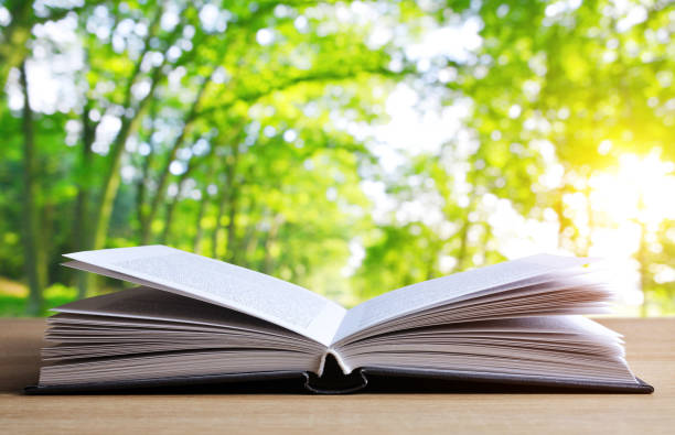 istock Open book on wooden plank. 928877052