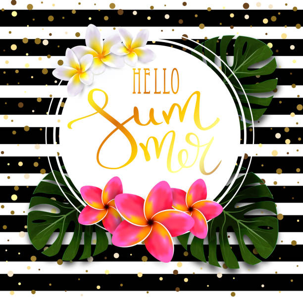 Hello summer calligraphic inscription in gold with a thin feather in a round frame with exotic flowers and leaves. Striped black and white background with splashes of gold. Vector exotic banner. Hello summer calligraphic inscription in gold with a thin feather in a round frame with exotic flowers and leaves. Striped black and white background with splashes of gold. Vector exotic banner. frangipani stock illustrations