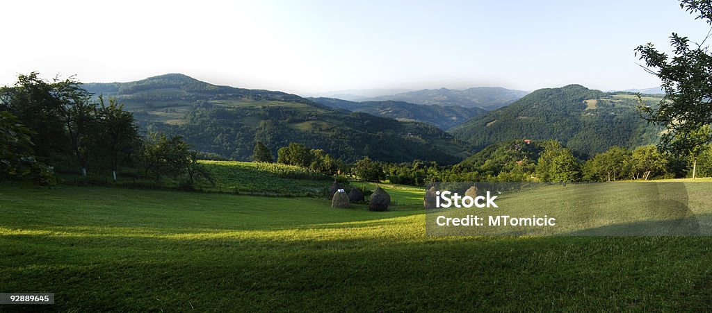 Paisagem panorama - Foto de stock de Agricultura royalty-free