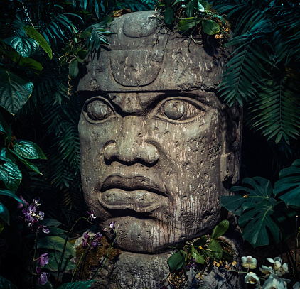Olmec sculpture carved from stone. Big stone head statue in a jungle.