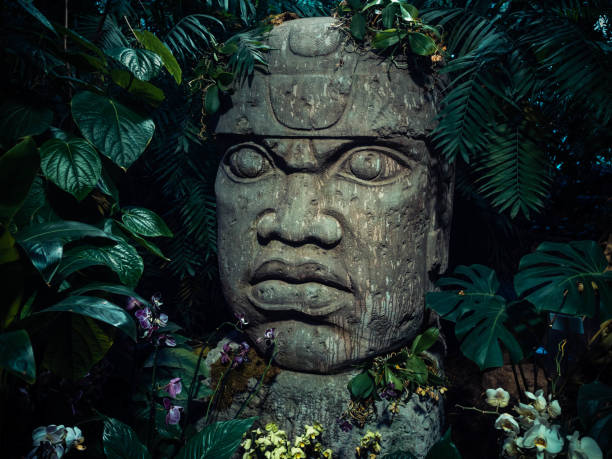 Olmec sculpture carved from stone. Big stone head statue in a jungle Olmec sculpture carved from stone. Big stone head statue in a jungle. olmec head stock pictures, royalty-free photos & images