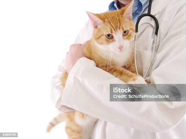 Tierarzt Stockfoto und mehr Bilder von Tier-Streicheln - Tier-Streicheln, Tierarzt, Angst