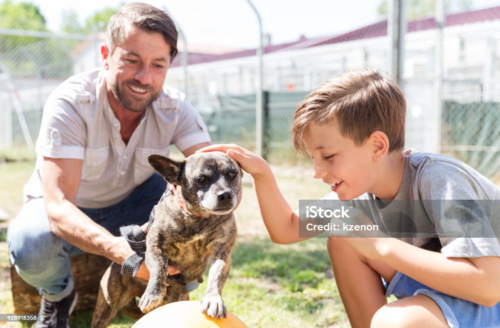 Papa et son fils en prenant soin d’un chien abandonné en refuge pour animaux - Photo de Adoption libre de droits