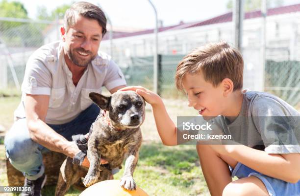 Photo libre de droit de Papa Et Son Fils En Prenant Soin Dun Chien Abandonné En Refuge Pour Animaux banque d'images et plus d'images libres de droit de Adoption