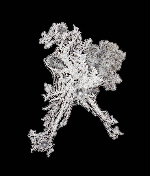 istock On the frozen window created a frost dragon 928920844
