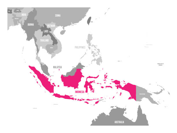 ilustraciones, imágenes clip art, dibujos animados e iconos de stock de mapa del vector de indonesia. rosa puso de relieve en la región de asia sur-oriental - indonesia