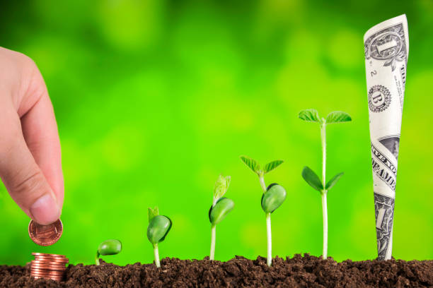 istock bussiness investment:coin growing in soil on green background 928926142
