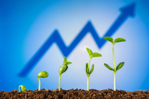 Bussiness growth:new life growing on green background