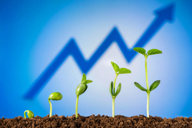 Bussiness growth:new life growing on green background stock photo