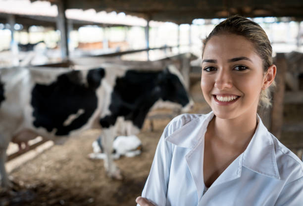 istock Veterinarian working at a cattle farm 928926298