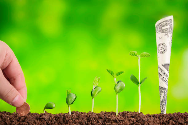 istock bussiness investment:coin growing in soil on green background 928927226
