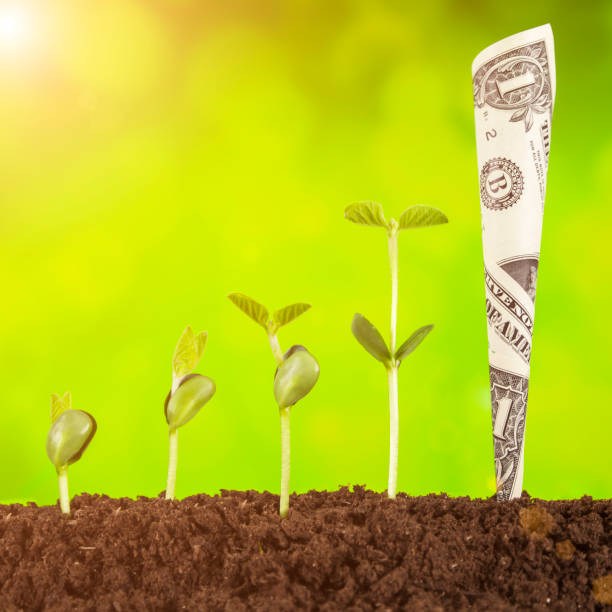 istock bussiness investment:coin growing in soil on green background 928927252