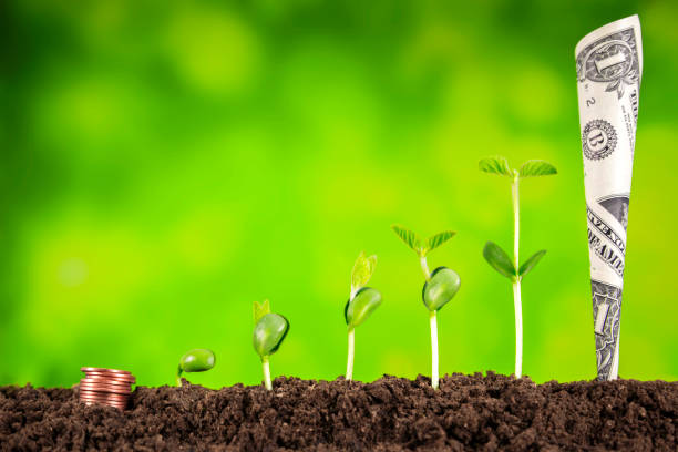 istock bussiness investment:coin growing in soil on green background 928927314
