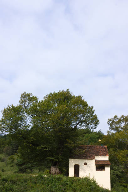 istock wanderlust chapel with an old oak tree 928931734
