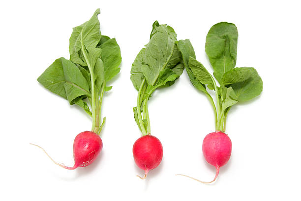 istock Bunch of radishes 92894990