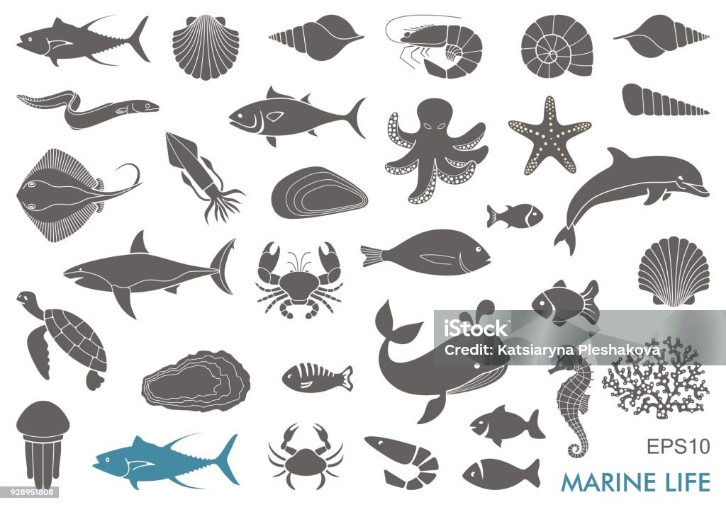 Marine life icons Silhouettes of sea inhabitants. Vector flat illustration Sea Life stock vector