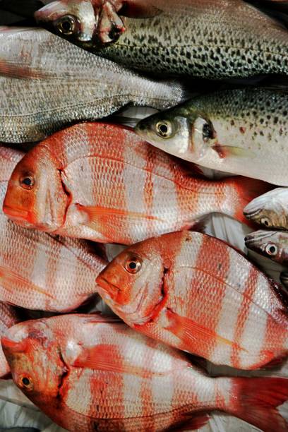 istock Fishes For Sale In Market 928952788