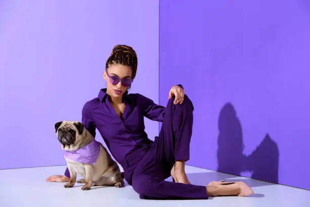 Photo of fashionable african american girl posing in purple suit with pug, ultra violet trend