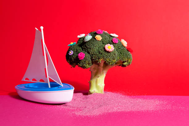 istock pink red broccoli flowers and toy boat 928956084