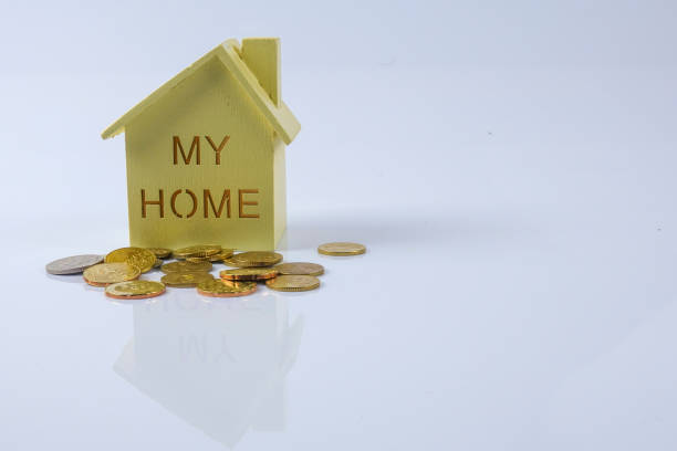 istock Close-Up Of Coins And Model Home Over White Background 928963220