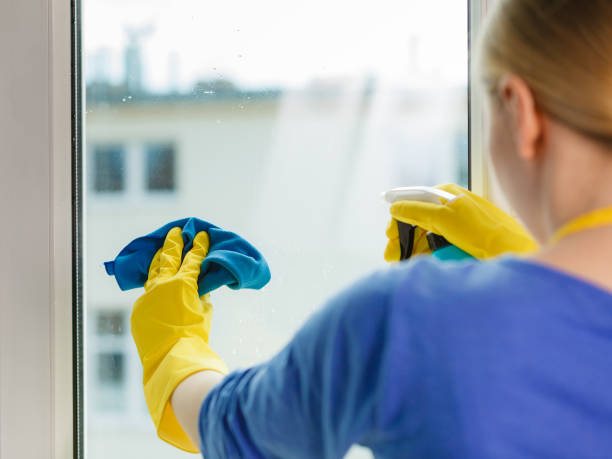 istock Girl cleaning window at home using detergent rag 928963590
