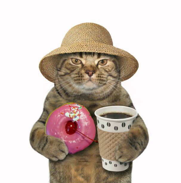 istock Cat with a pink donut and coffee 928968454