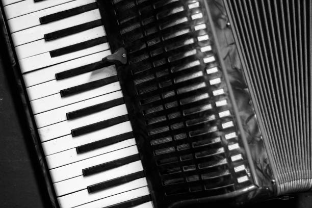 Accordion player close up. Man playing music on an accordion.