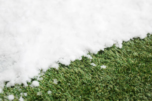 istock Meeting snow on green grass close up - between winter and spring concept background 928996328