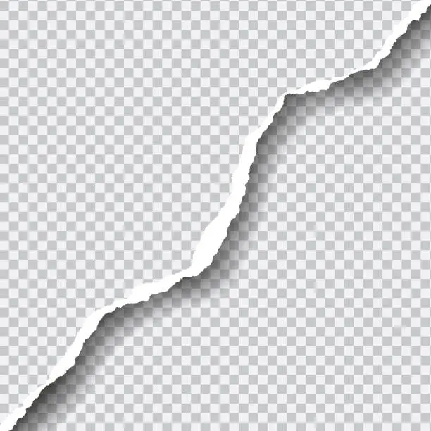 Vector illustration of Realistic vector ripped paper with space for your text.