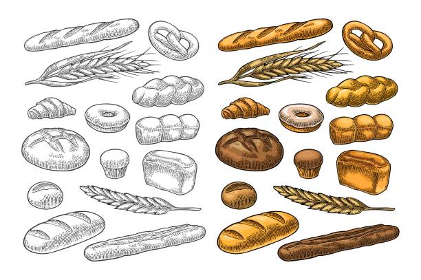 illustrazioni stock, clip art, cartoni animati e icone di tendenza di imposta il pane. incisione vintage a colori vettoriali - bun